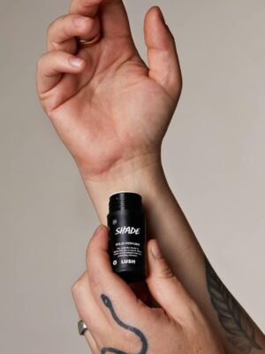 6bc1d18736509a6e3fca0cd3bee08e21